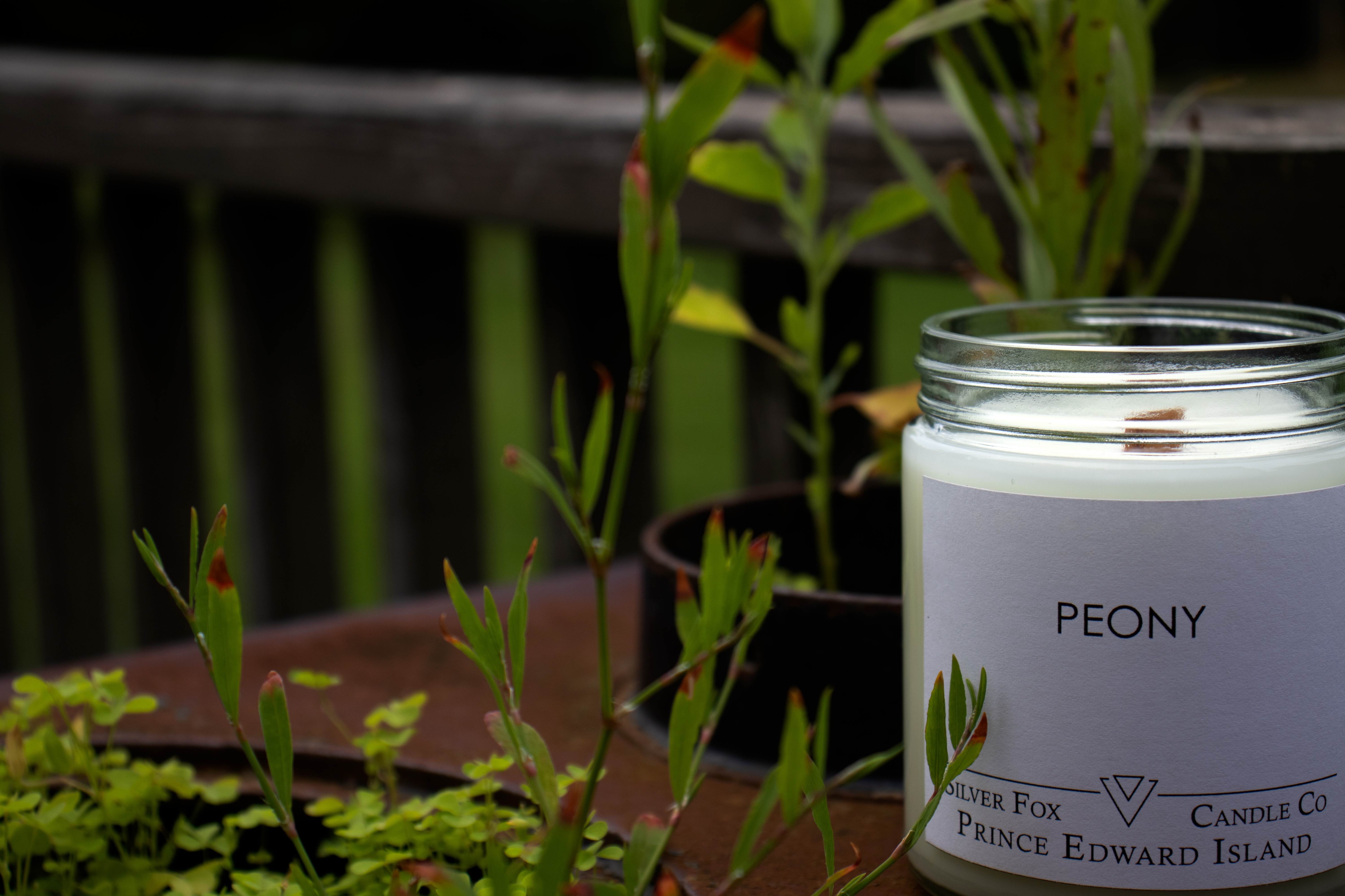 Peony Scented Soy Wax Candle from the Silver Fox Candle Company - Stove Pipe